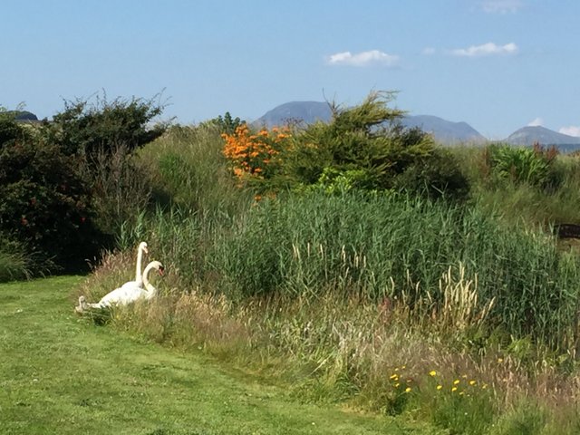 Lochside B&B, Isle of Arran