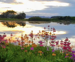 Lochside Self Catering, Isle of Arran