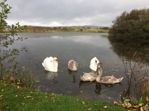 Lochside Self Catering, Isle of Arran